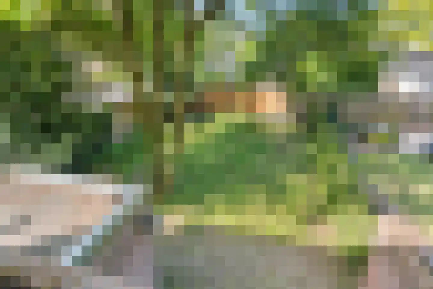 Nassaulaan 4 Bennekom thumbnail 32