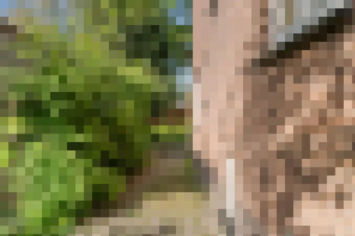 Nassaulaan 4 Bennekom thumbnail 6