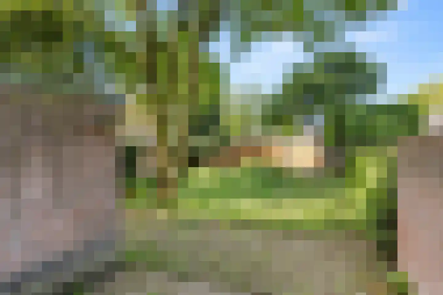 Nassaulaan 4 Bennekom thumbnail 9