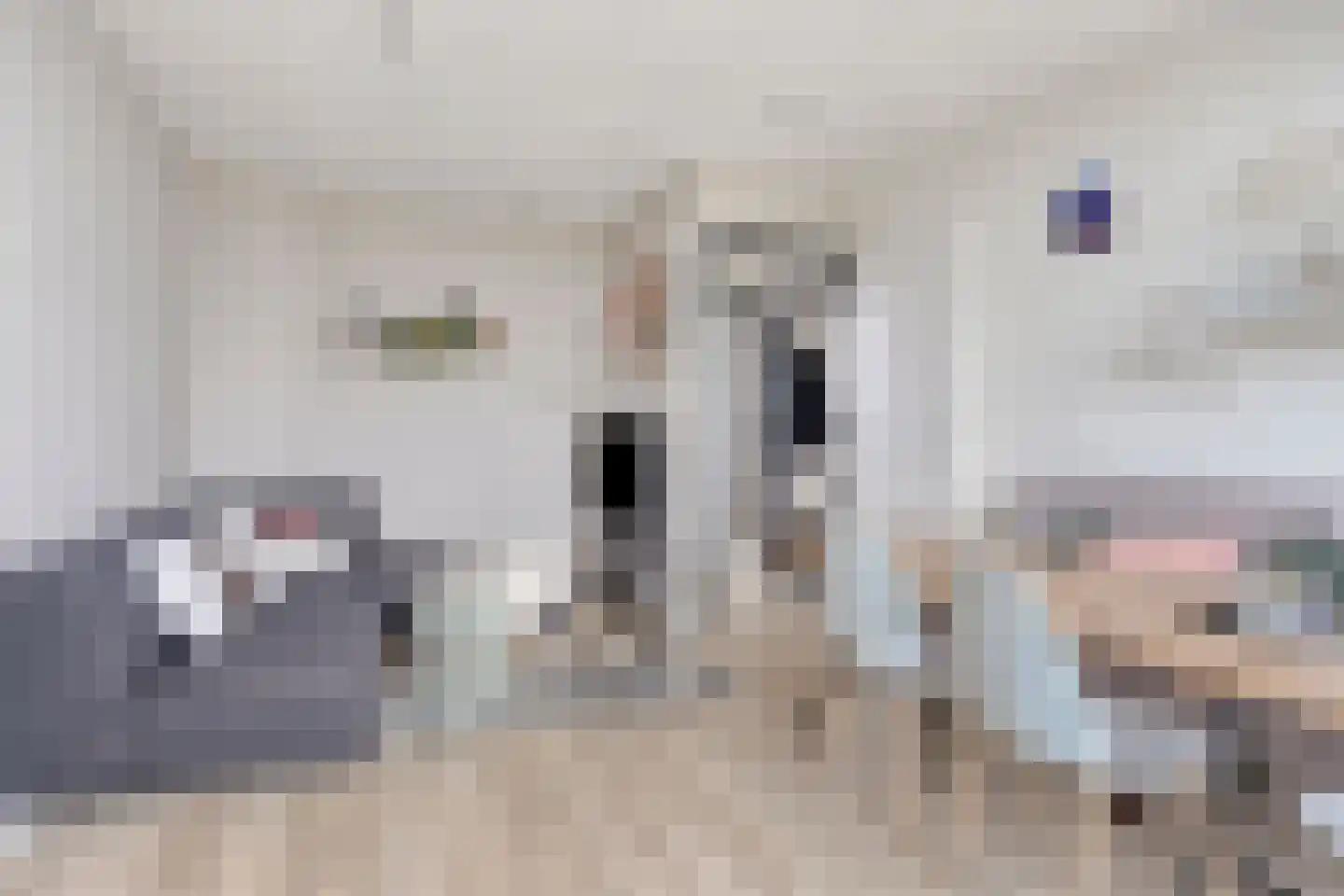 Nassaulaan 4 E Maastricht thumbnail 6