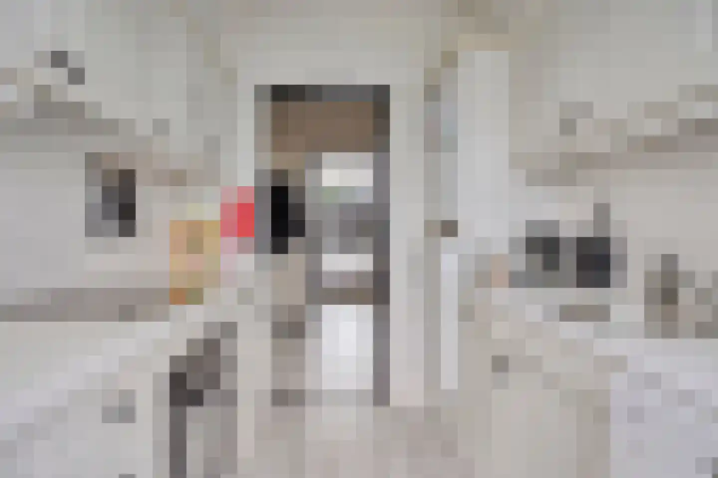 Nassaulaan 4 E Maastricht thumbnail 8