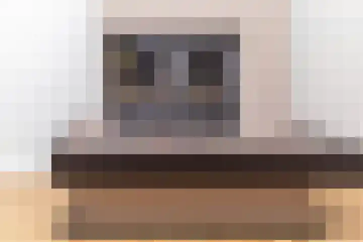 Nassaulaan 4 Kesteren thumbnail 12