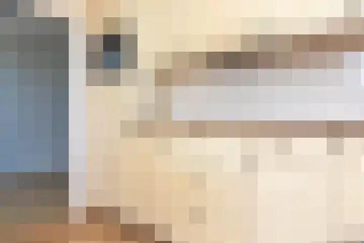 Nassaulaan 4 Kesteren thumbnail 15