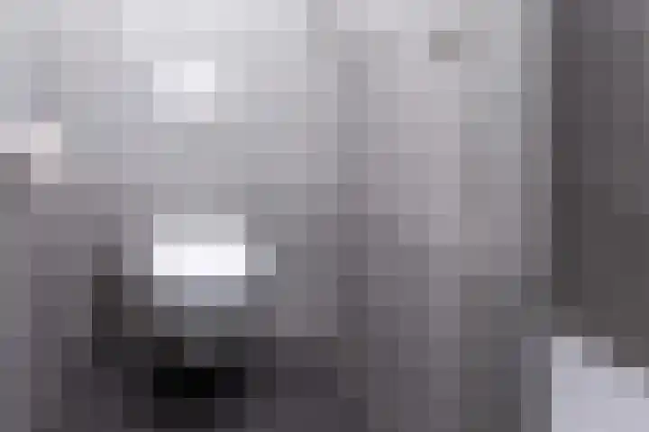Nassaulaan 4 Kesteren thumbnail 25