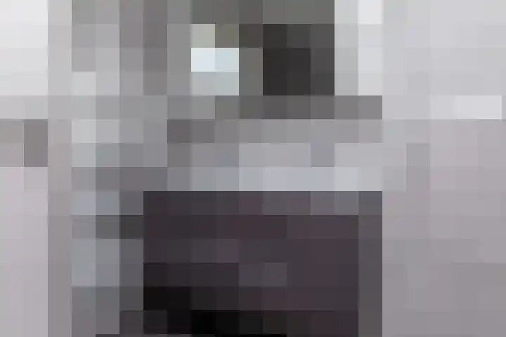 Nassaulaan 4 Kesteren thumbnail 26