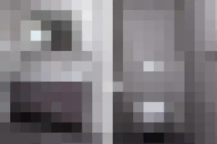 Nassaulaan 4 Kesteren thumbnail 28