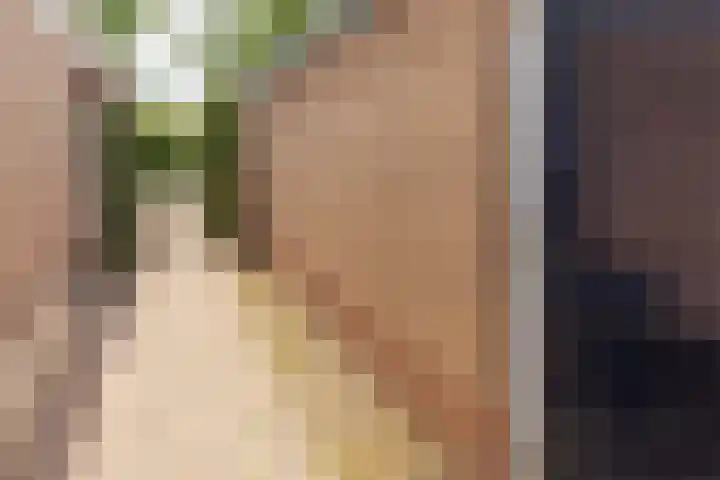 Nassaulaan 4 Kesteren thumbnail 36