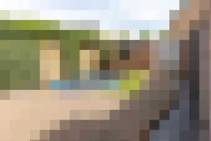 Nassaulaan 4 Kesteren thumbnail 39
