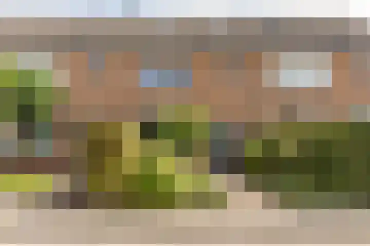 Nassaulaan 4 Kesteren thumbnail 4
