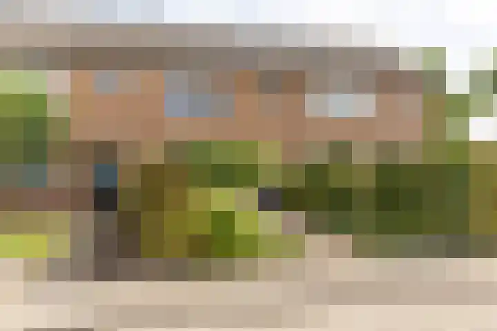 Nassaulaan 4 Kesteren thumbnail 41
