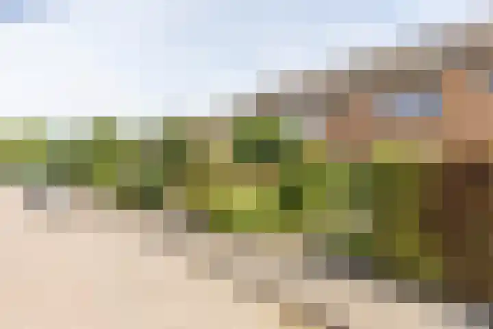 Nassaulaan 4 Kesteren thumbnail 42