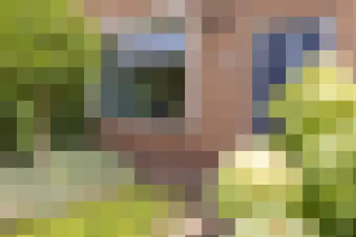 Nassaulaan 4 Kesteren thumbnail 43