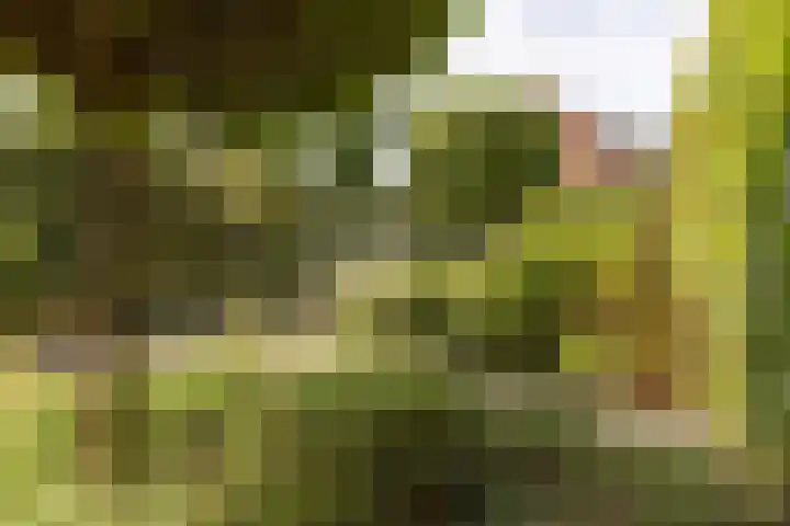 Nassaulaan 4 Kesteren thumbnail 44