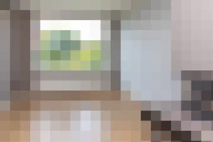 Nassaulaan 4 Kesteren thumbnail 47