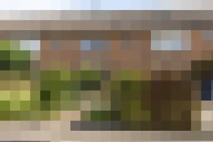 Nassaulaan 4 Kesteren thumbnail 5