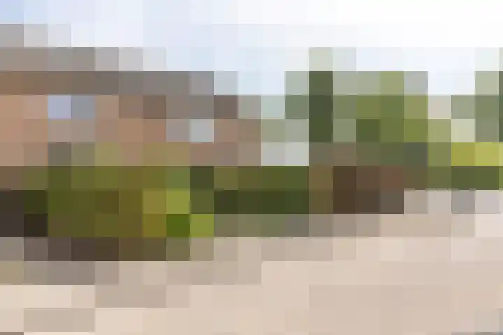 Nassaulaan 4 Kesteren thumbnail 6