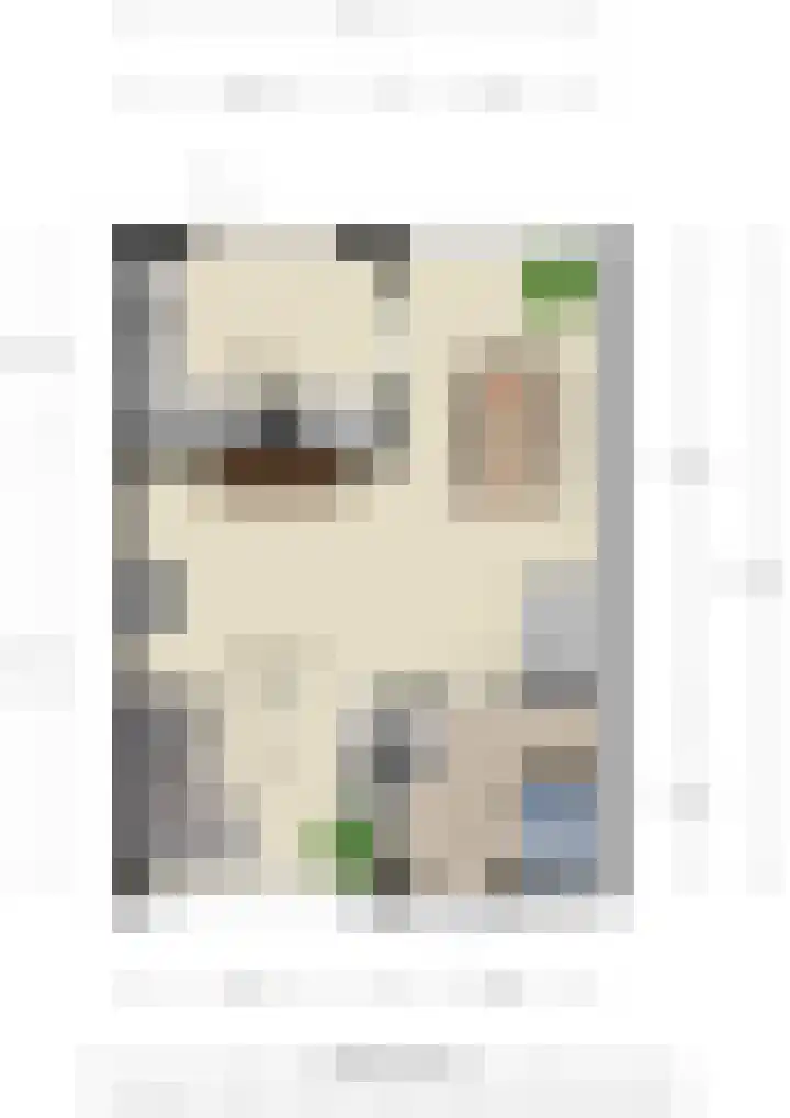 Nassaulaan 4 Kesteren thumbnail 69