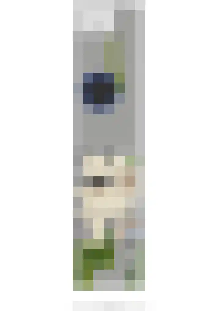 Nassaulaan 4 Kesteren thumbnail 73