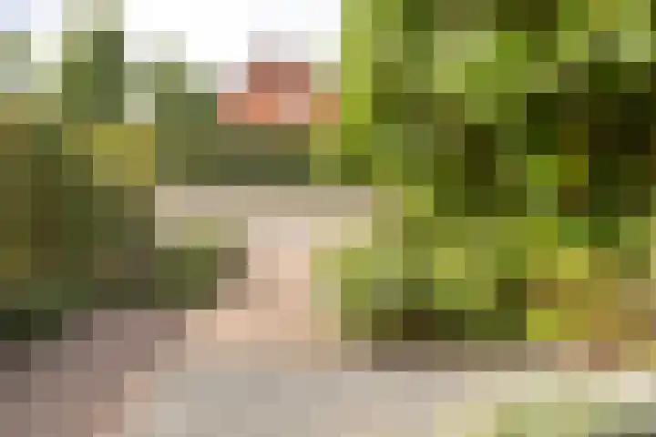 Nassaulaan 4 Kesteren thumbnail 8
