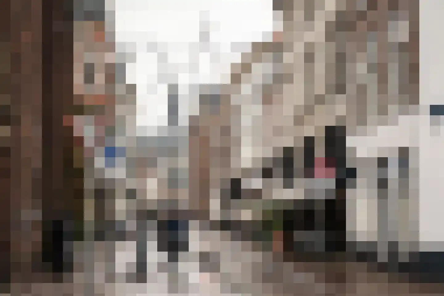 Nassaulaan 4 RD Haarlem thumbnail 26
