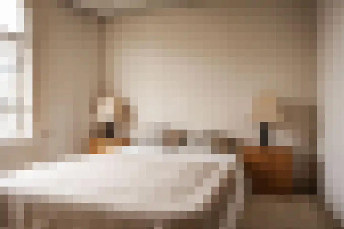 Nassaulaan 4 RD Haarlem thumbnail 4
