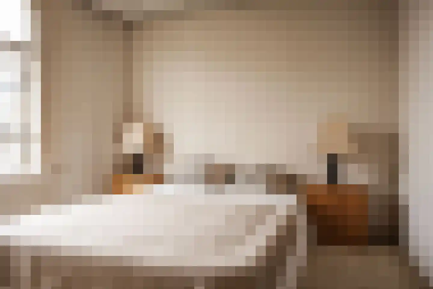 Nassaulaan 4 RD Haarlem thumbnail 4