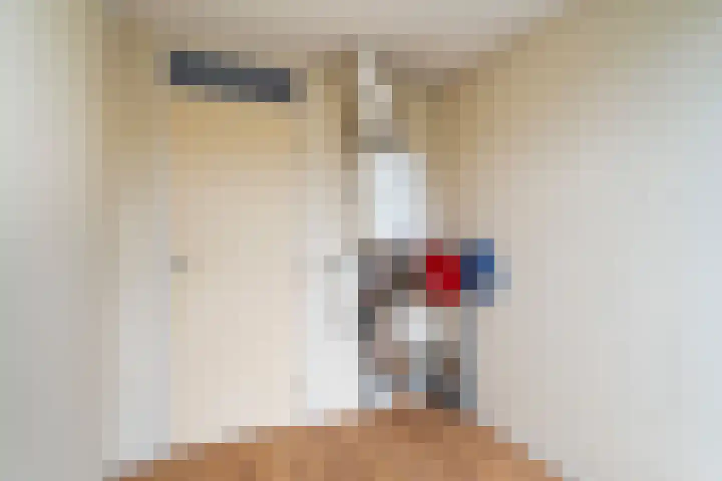 Nassaulaan 4 Zoetermeer thumbnail 20