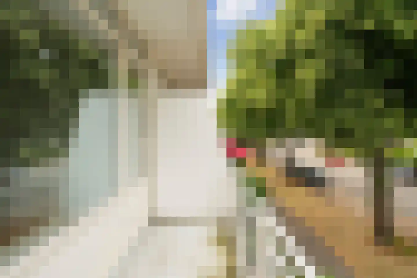 Nassaulaan 4 Zoetermeer thumbnail 30