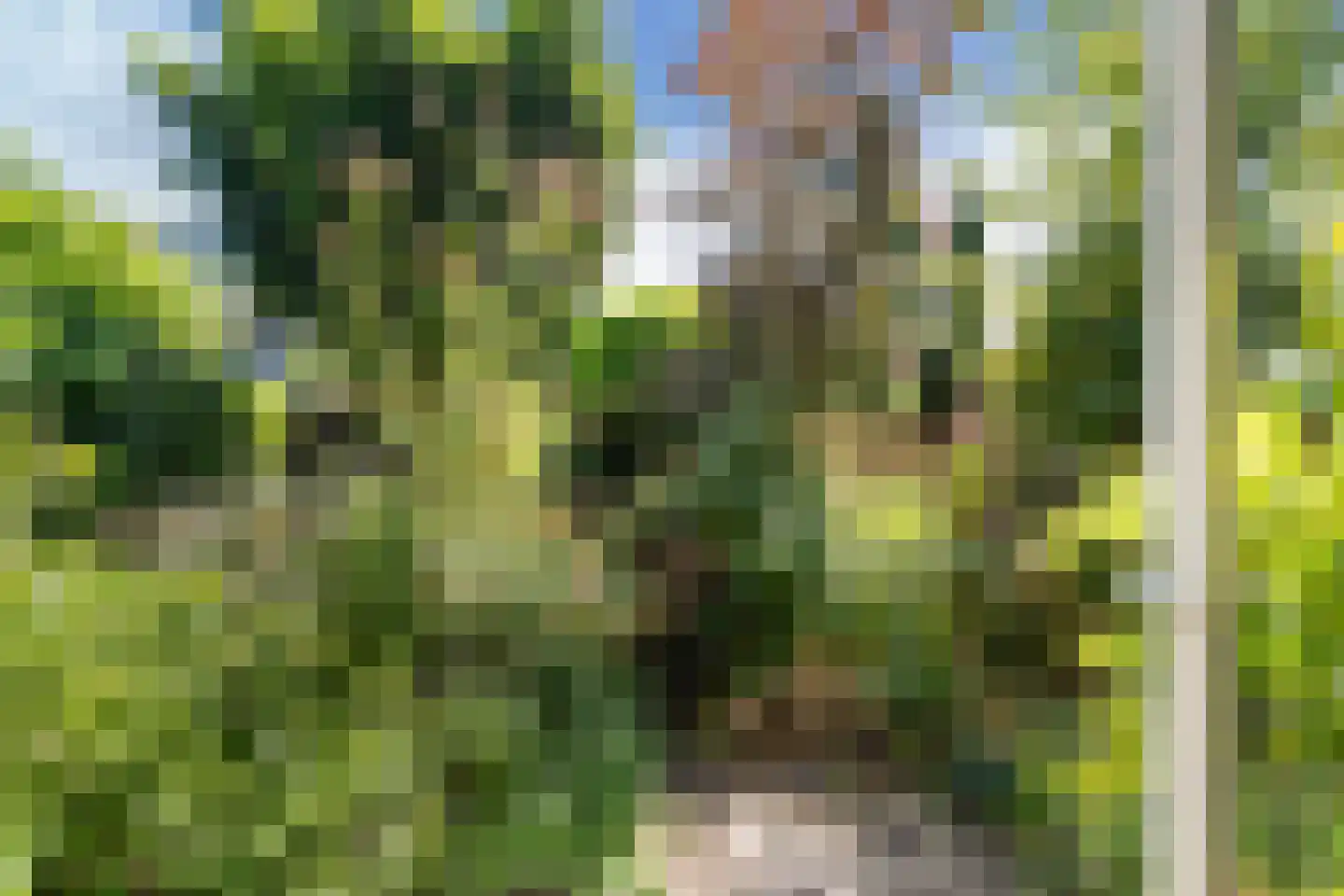 Nassaulaan 4 Zoetermeer thumbnail 36