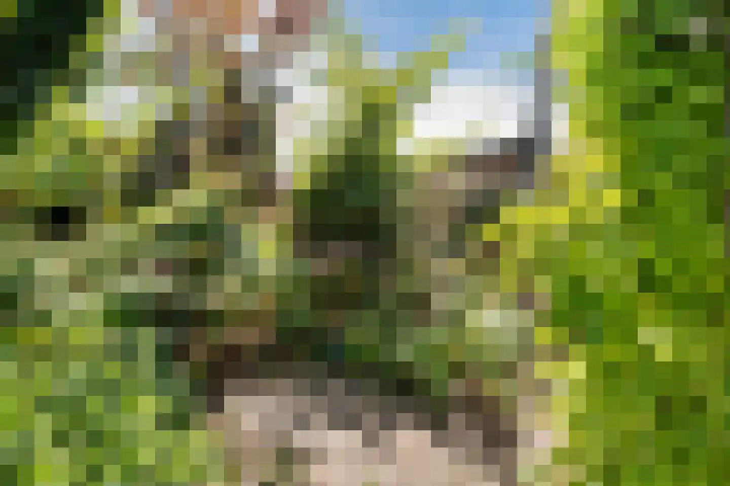Nassaulaan 4 Zoetermeer thumbnail 37