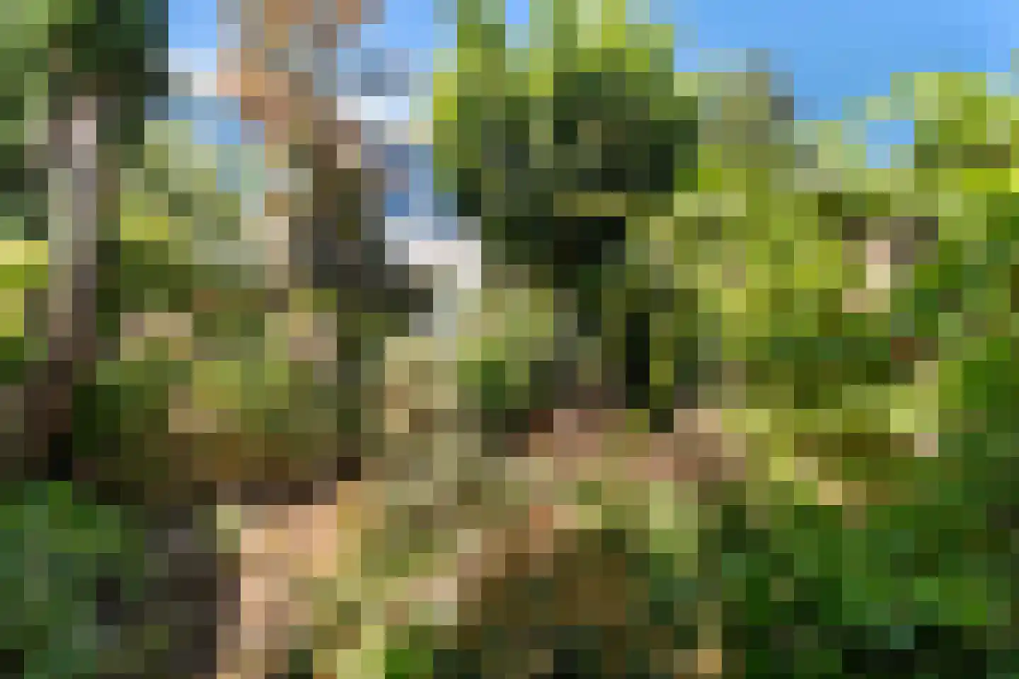 Nassaulaan 4 Zoetermeer thumbnail 38