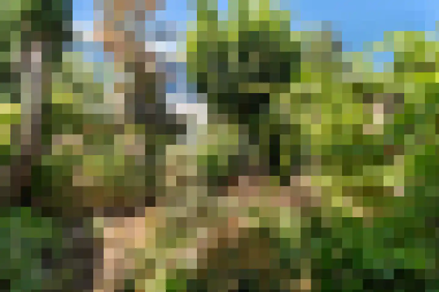 Nassaulaan 4 Zoetermeer thumbnail 39