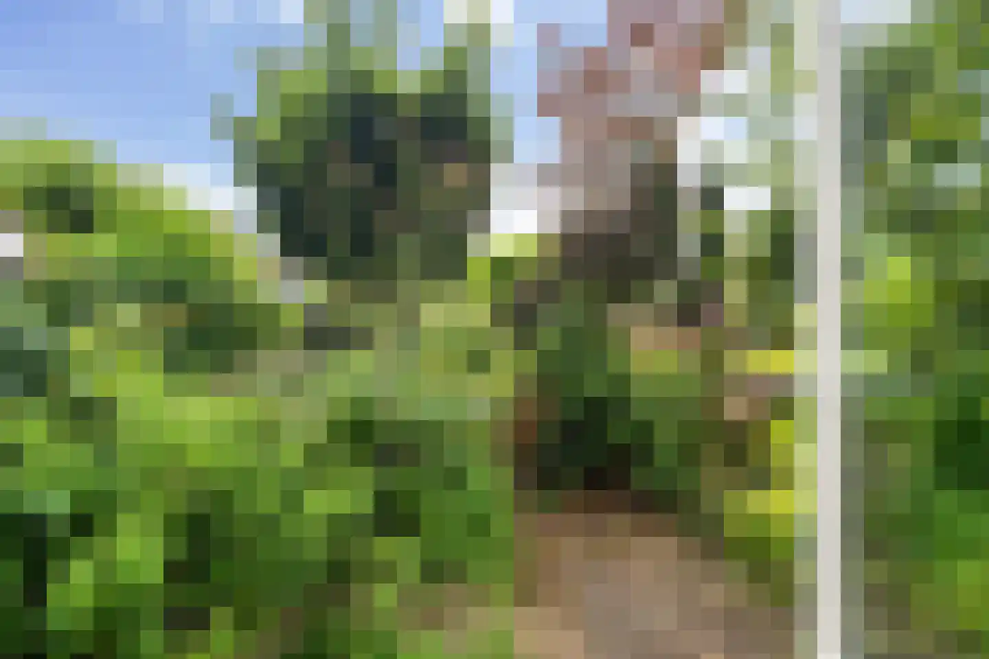 Nassaulaan 4 Zoetermeer thumbnail 5