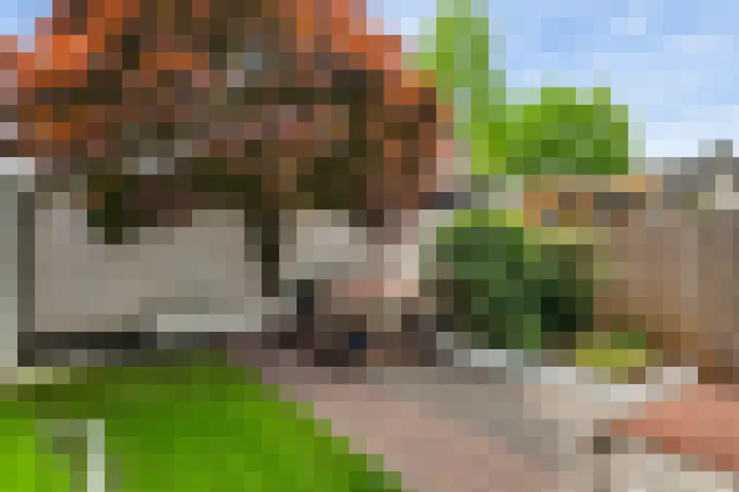 Nassaulaan 40 Weert thumbnail 28