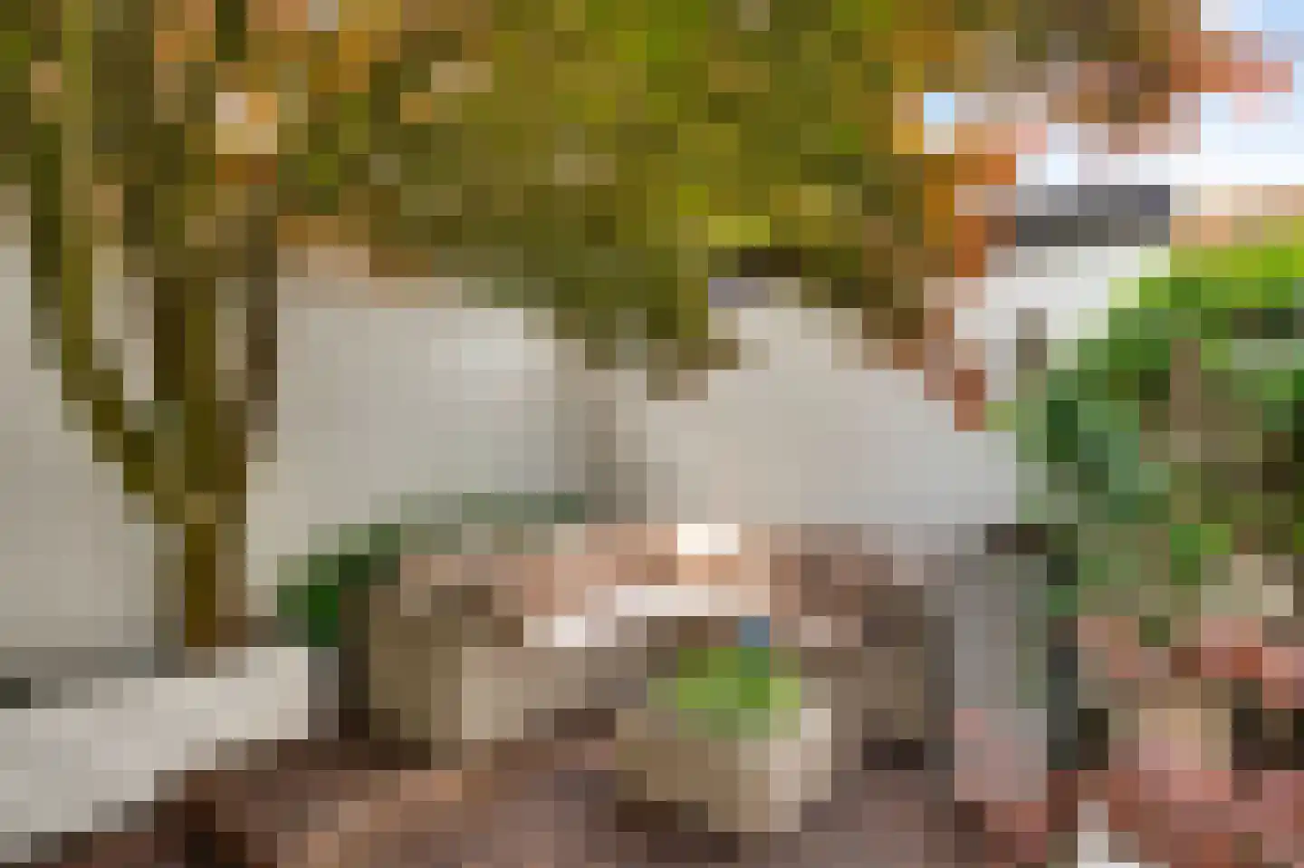Nassaulaan 40 Weert thumbnail 29
