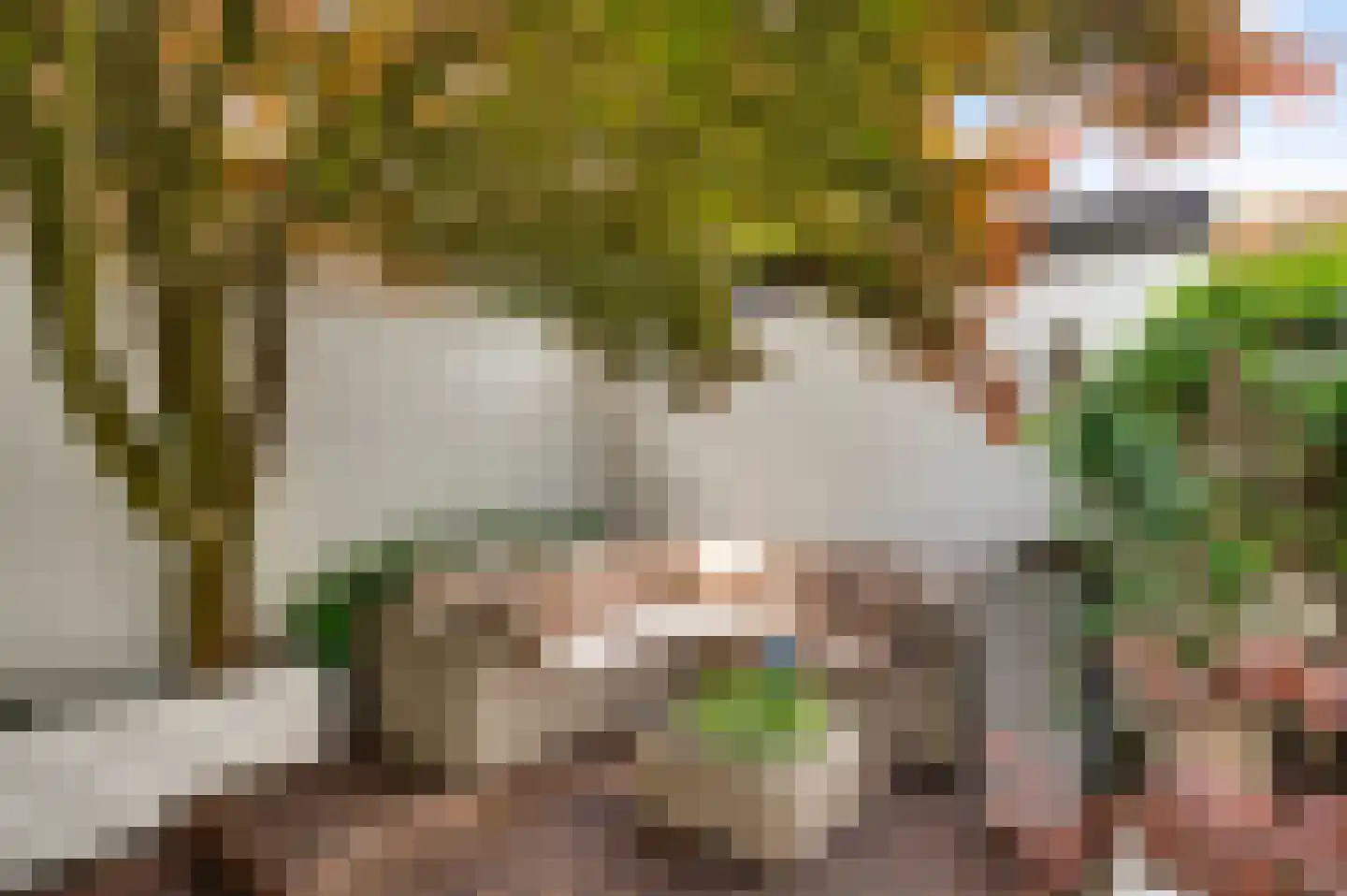 Nassaulaan 40 Weert thumbnail 29