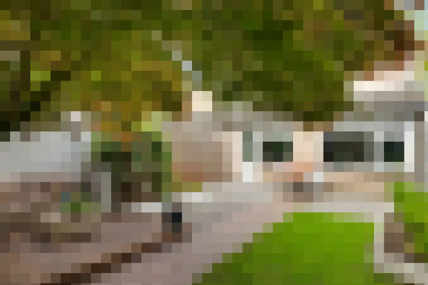 Nassaulaan 40 Weert thumbnail 4