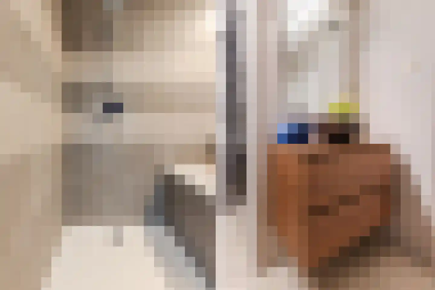 Nassaulaan 45 A Vlijmen thumbnail 18