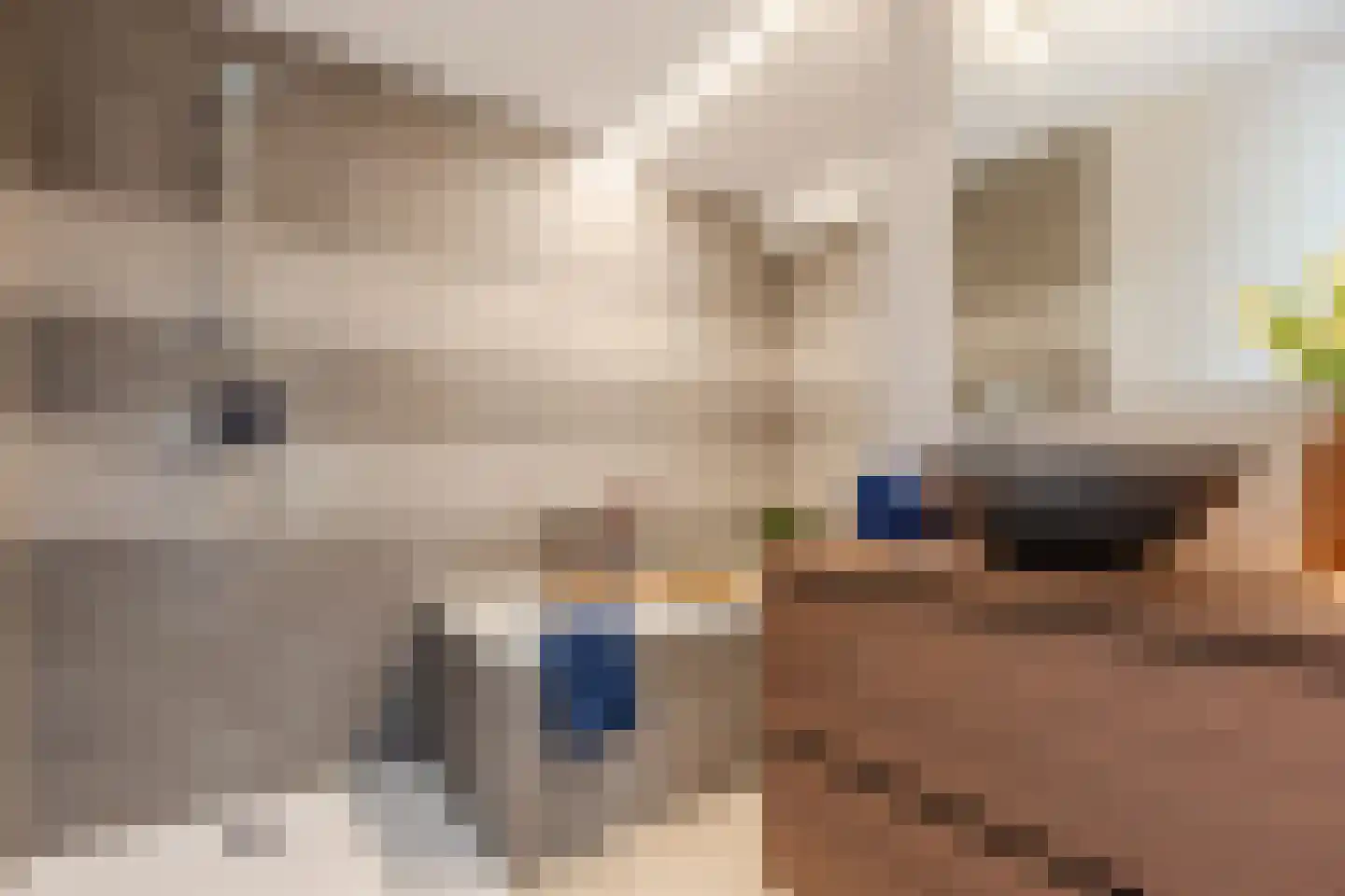 Nassaulaan 45 A Vlijmen thumbnail 19