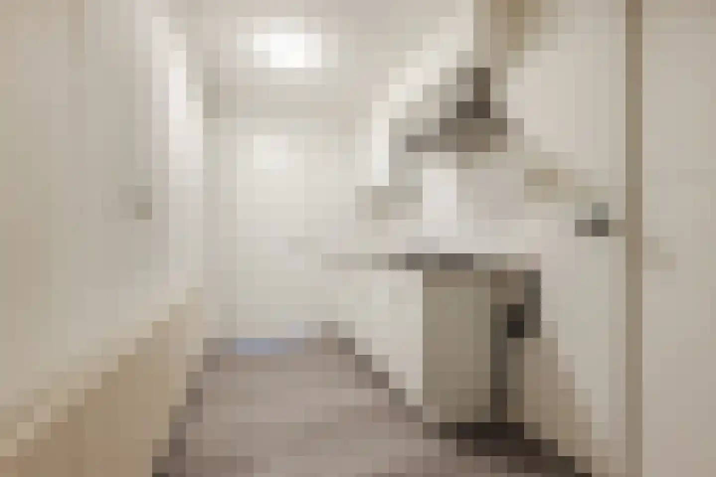 Nassaulaan 45 A Vlijmen thumbnail 23