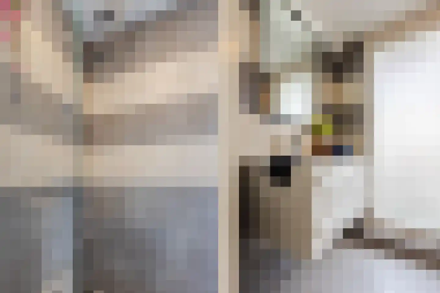 Nassaulaan 45 A Vlijmen thumbnail 28