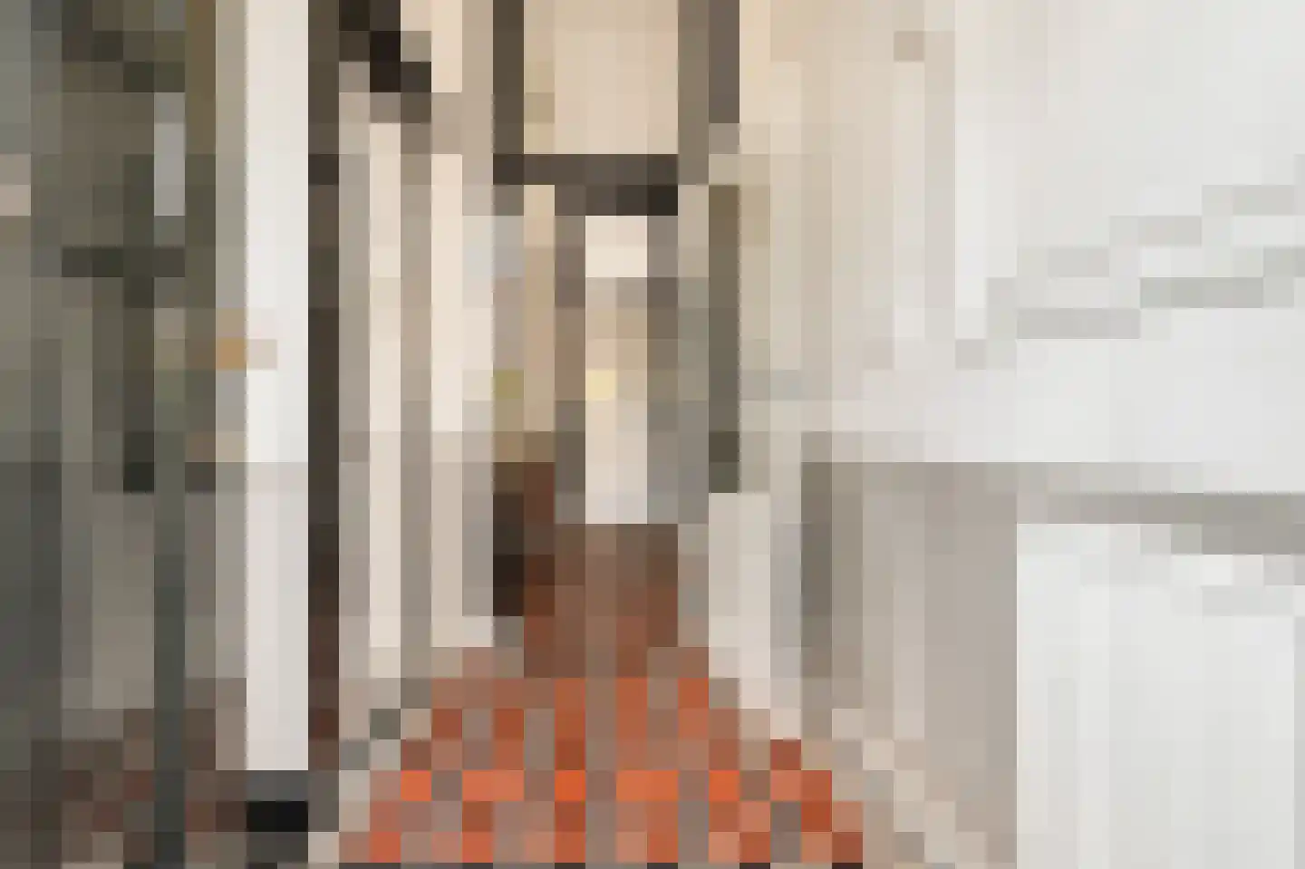 Nassaulaan 45 Alkmaar thumbnail 10