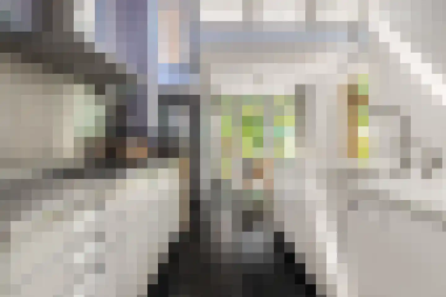 Nassaulaan 45 Alkmaar thumbnail 11