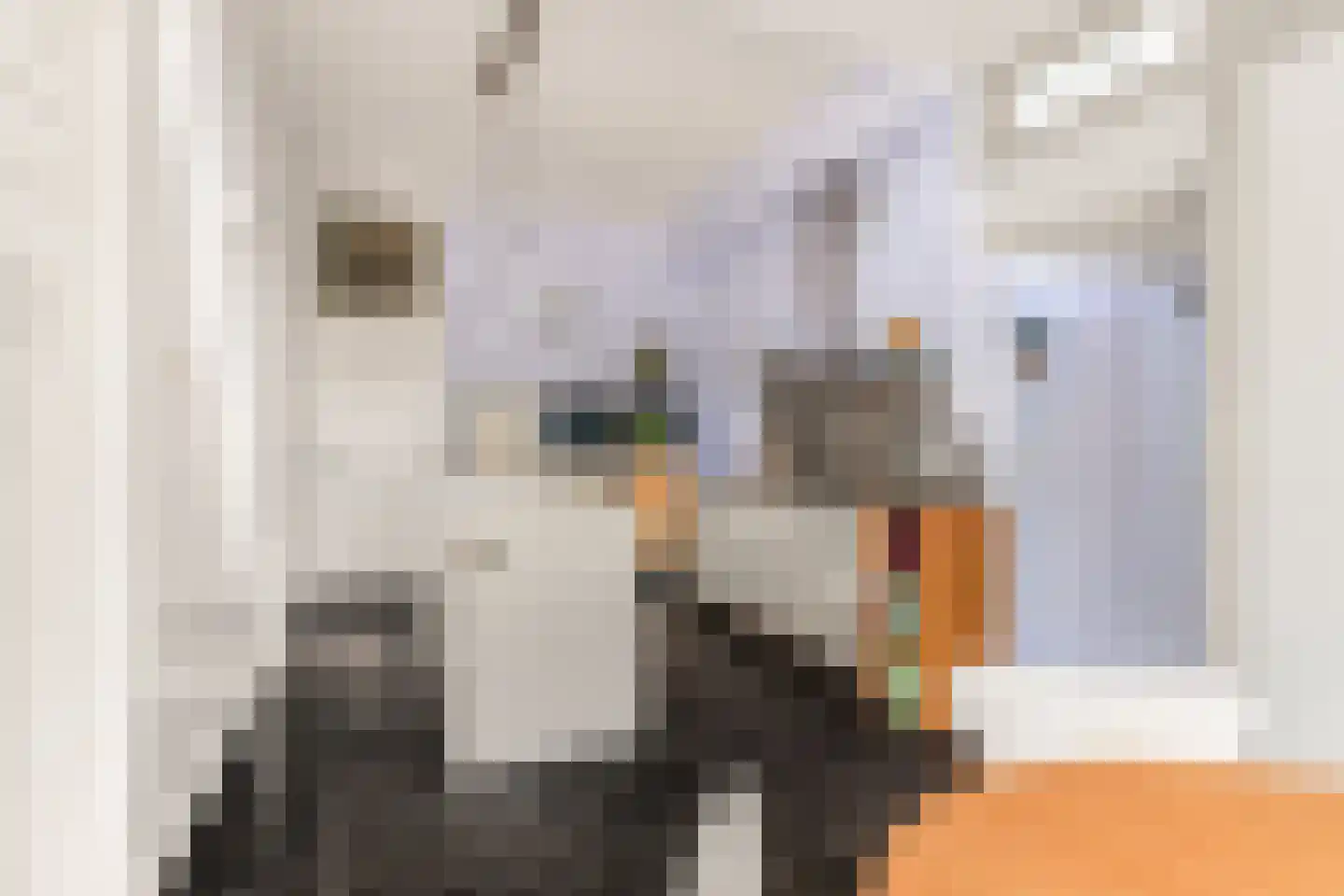 Nassaulaan 45 Alkmaar thumbnail 13