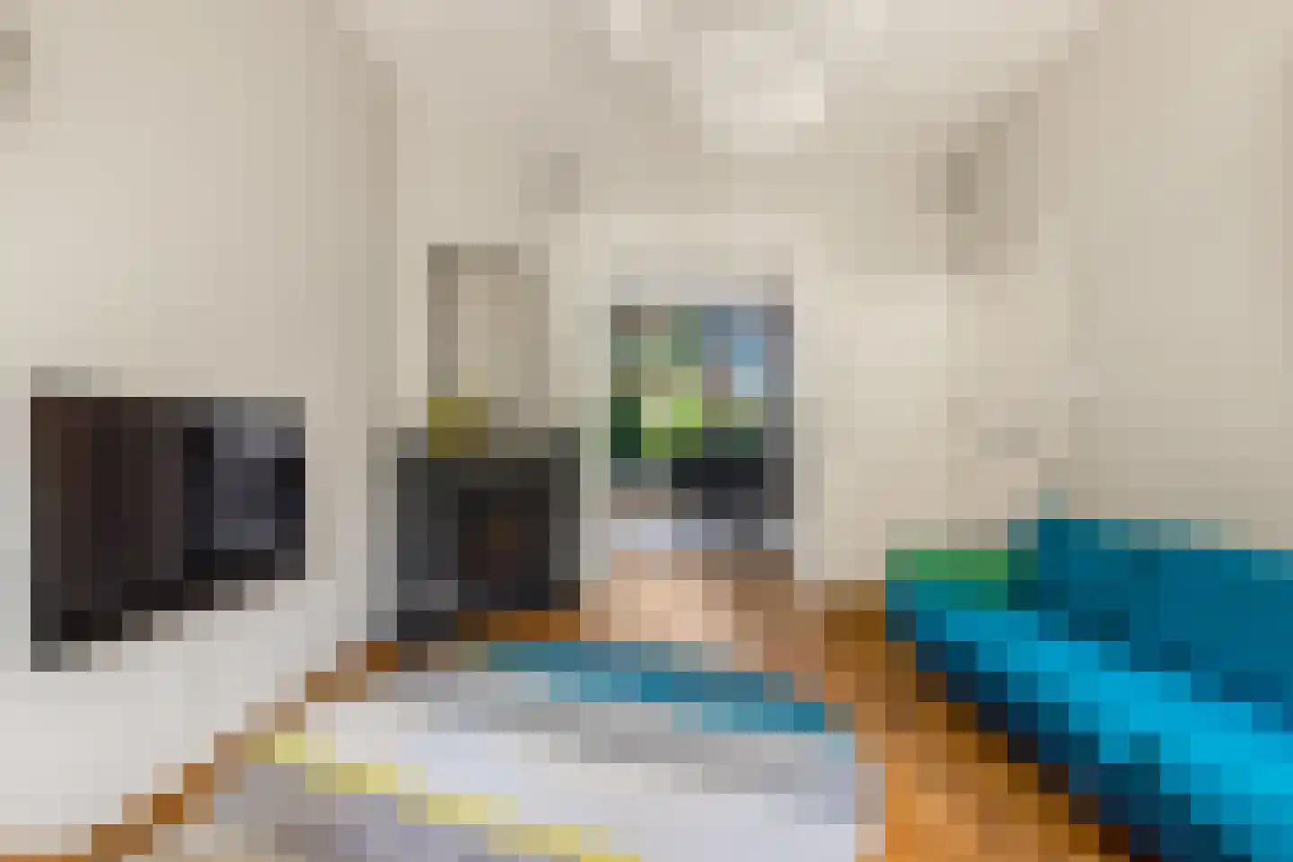Nassaulaan 45 Alkmaar thumbnail 17