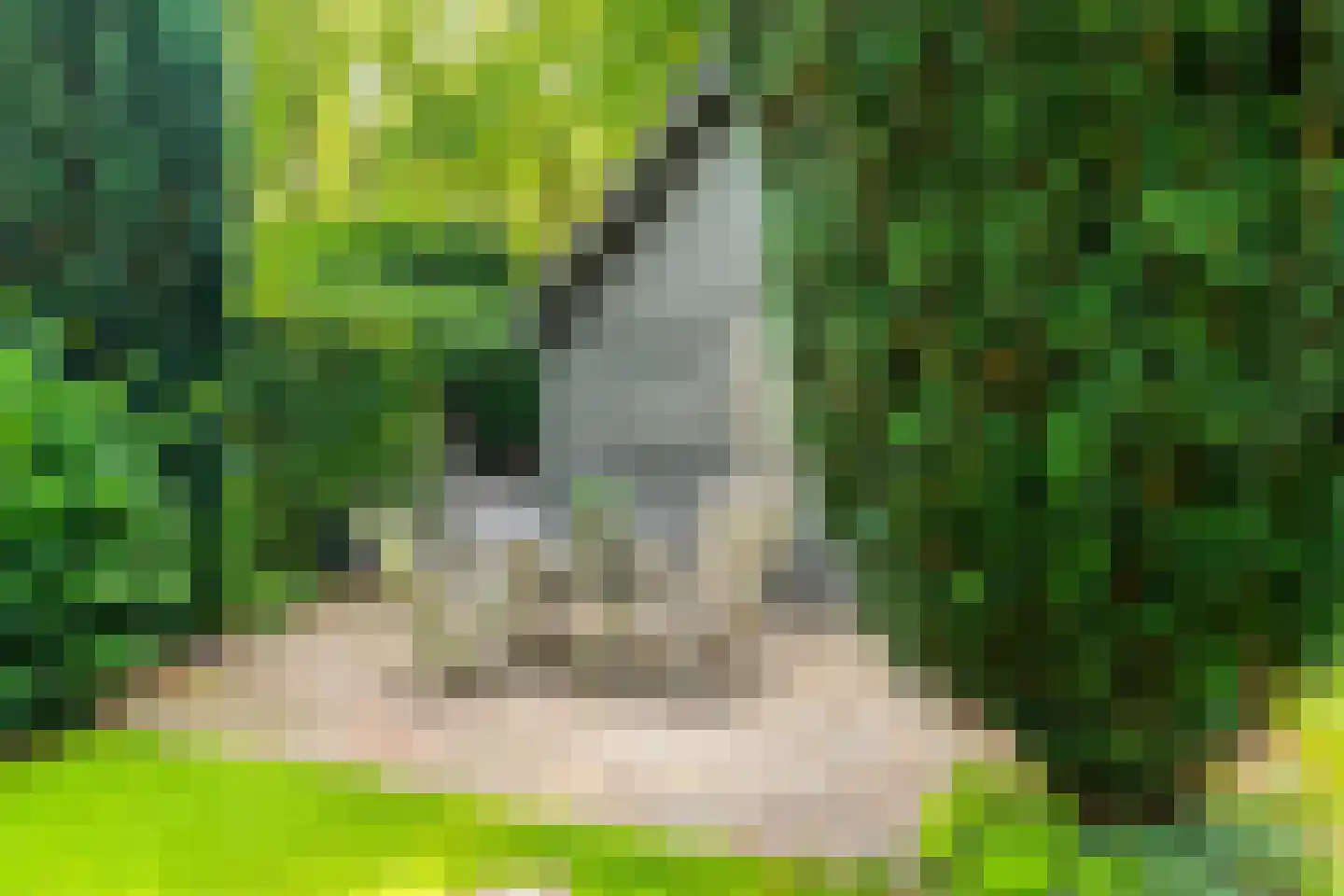 Nassaulaan 45 Alkmaar thumbnail 30