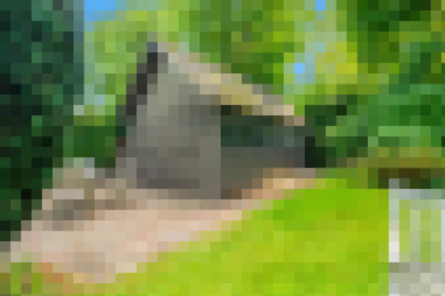 Nassaulaan 45 Alkmaar thumbnail 31