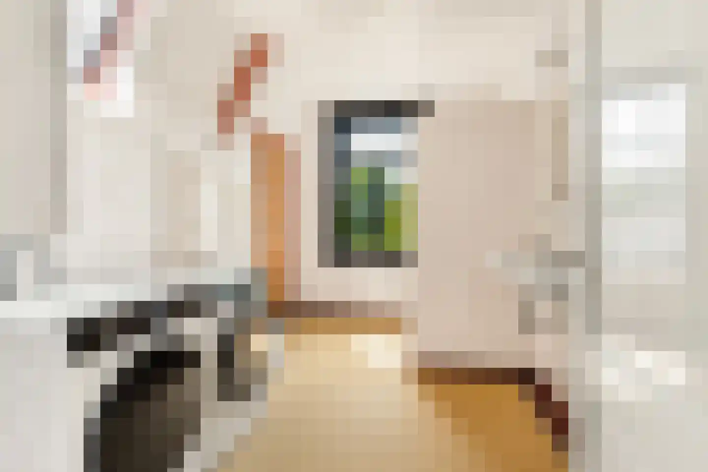 Nassaulaan 45 Alkmaar thumbnail 53