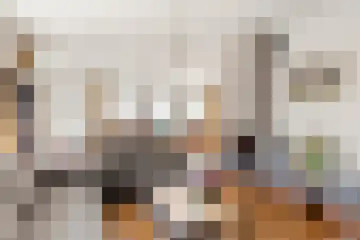 Nassaulaan 45 Ede thumbnail 10