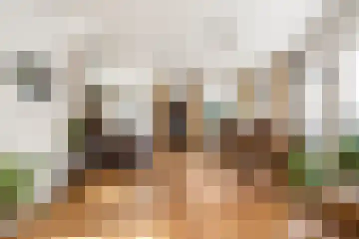 Nassaulaan 45 Ede thumbnail 11